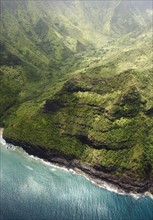 Elevated view of coast. Photo : Jamie Grill