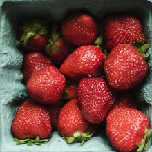 Studio shot of fresh strawberries. Photo : Jamie Grill