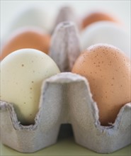 Close-up of eggs in carton. Photo : Daniel Grill