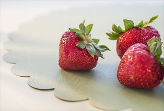 Studio shot of strawberries. Photo : Daniel Grill