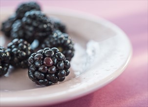 Blackberries on plate. Photo : Daniel Grill