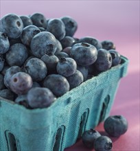 Blueberries in carton box. Photo : Daniel Grill