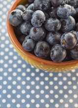 Blueberries in bowl. Photo : Daniel Grill
