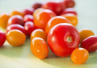 Studio Shot of tomatoes. Photo : Daniel Grill