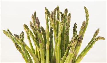 Bunch of asparagus, studio shot. Photo : Daniel Grill