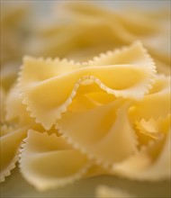 Studio Shot of bow tie pasta. Photo: Daniel Grill