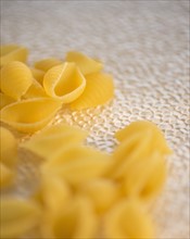 Studio Shot of pasta. Photo: Daniel Grill