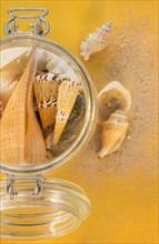 Composition of sea shells in glass jar on yellow background. Photo: Daniel Grill