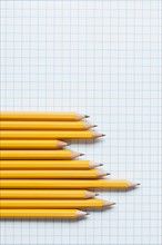 Grouping of yellow pencils in graph shape on graph paper. Photo : Kristin Duvall