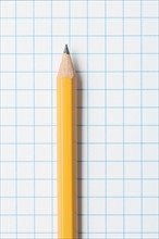 Close up of single yellow sharpened pencil on graph paper. Photo : Kristin Duvall