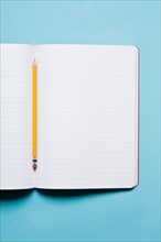 Single yellow sharpened pencil with blank composition notebook. Photo : Kristin Duvall