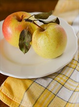 Still life with apples.