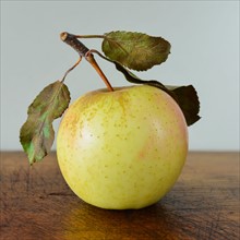 Studio shot of apple.