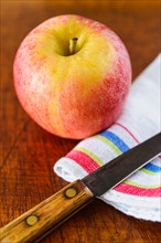 Apple, cloth and knife.