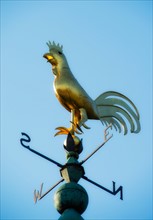 Low angle view of weathervane