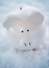Studio shot of white piggy bank on artificial snow