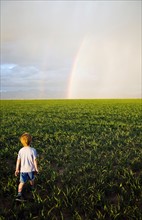 boy (2-3) in field looking at rainbow