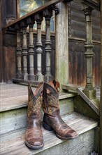 Pair of cowboy boots
