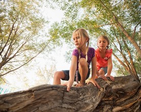 Two little girls (4-5, 6-7) climbing on horizontal tree branch