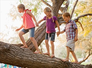 Three kids (4-5, 6-7) balancing on tree branch and walking together holding hands