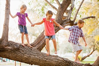 Three kids (4-5, 6-7) balancing on tree branch