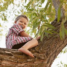 Little boy (2-3) sitting in tree