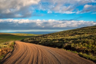 Dirt road and fields