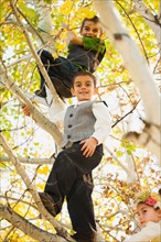 Bountiful, Children (4-5,6-7,8-9) playing on autumn tree. Photo: Mike Kemp