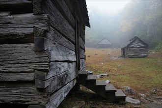Huts on meadow. Photo : Henryk Sadura