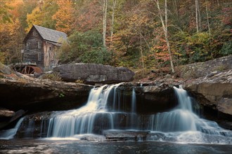 Mill on creek in forest. Photo : Henryk Sadura