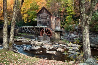 Mill on creek in forest. Photo : Henryk Sadura