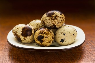 Quail eggs on table.