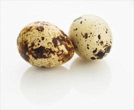 Studio shot of quail eggs.