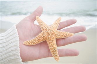 Human hand holding starfish