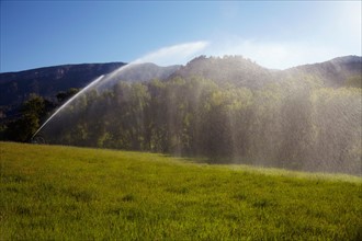 Agricultural sprinkler watering field