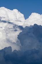 Cumulus cloud formation