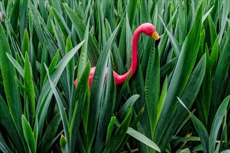 Artificial flamingo in leaves