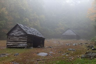 Sheds in foggy glade