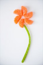 Studio Shot of candies imitating flower
