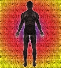 Digitally generated image of human representation