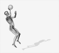 Human skeleton playing basketball