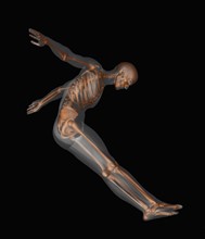 Human skeleton jumping mid-air