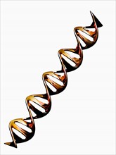 Digitally generated image of double helix