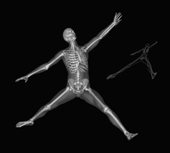 Human skeleton stretching