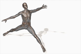 Human skeleton stretching