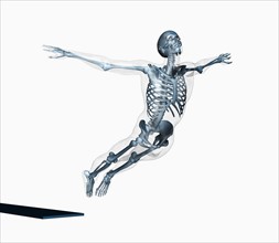 Human skeleton jumping off trampoline on white background