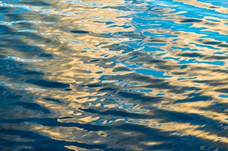 Water surface. Walden Pond, Concord, Massachusetts.