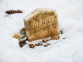 Grave of henry david thoreau. Walden Pond, Concord, Massachusetts.
