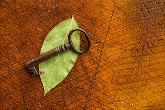 Antique key with leaf.
