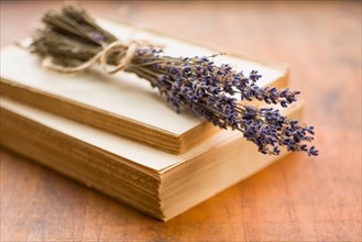 Antique book with lavender.